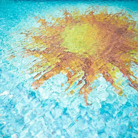 Kennedy 리도 디 예솔로